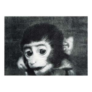 Šedá rohožka Mint Rugs StateMat Monkey, 50 x 75 cm