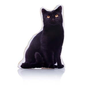 Polštářek s potiskem kočky Adorable Cushions Midi Black Cat