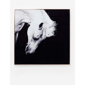 Obraz v rámu Kare Design Proud Horse, 100 x 100 cm
