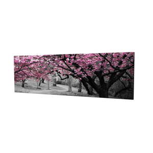 Obraz na plátně Cherry Blossom, 80 x 30 cm
