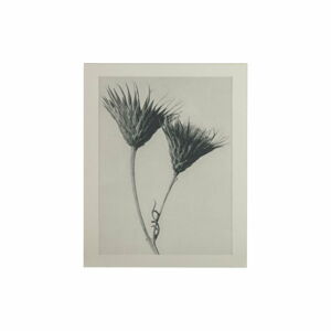 Béžovo-šedý obraz BePureHome Artwork Flower