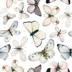 Sada nástěnných samolepek s motivem motýlů Dekornik Butterflies