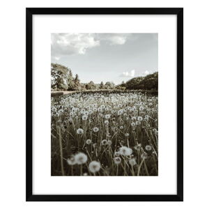 Obraz 40x50 cm Meadow