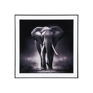 Obraz 50x50 cm  Elephant  – PT LIVING