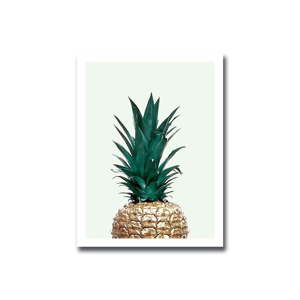 Obraz Onno Ananas, 30 x 40 cm
