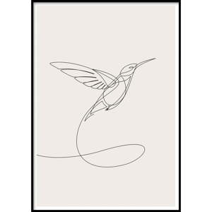 Nástěnný obraz SKETCHLINE/HUMMINGBIRD, 50 x 70 cm