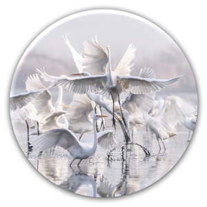 Nástěnná dekorace Styler Ring Herons, ø 70 cm