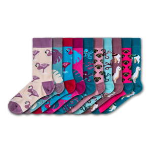 Sada 10 párů dámských ponožek Funky Steps Girly, velikost 35 - 39