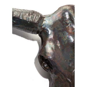 Nástěnná socha býčí hlavy Kare Design Antler Bull