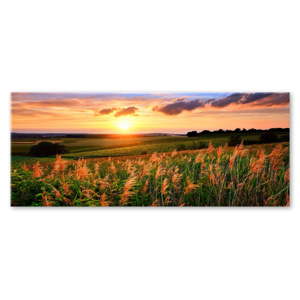 Obraz Styler Glas Sunset Meadow, 50 x 125 cm