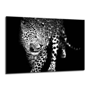 Obraz Styler Glasspik Canvas Animals Leopard, 70 x 100 cm