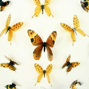 Sada 18 adhezivních 3D samolepek Ambiance Butterflies Yellow