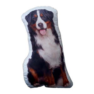Polštářek s potiskem Bernského salašnického psa Adorable Cushions