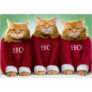 Koberec Vitaus Christmas Period Tree Funny Cats, 50 x 80 cm