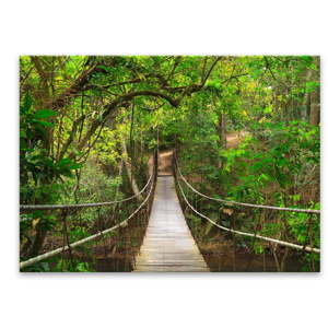 Obraz Styler Glas Nature Forest Bridge, 80 x 120 cm