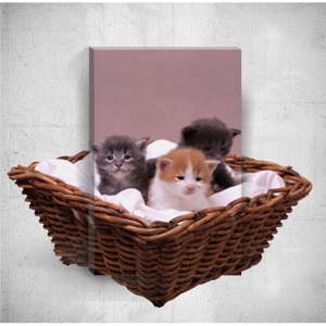 Nástěnný 3D obraz Mosticx Kittens, 40 x 60 cm