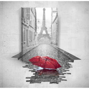 Nástěnný 3D obraz Mosticx Red Umbrella In Paris, 40 x 60 cm