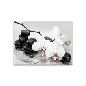 Obraz Styler Pastel Orchids, 100 x 70 cm
