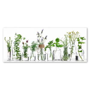 Obraz Styler Glasspik Herbs, 30 x 80 cm