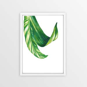 Obraz Piacenza Art Bannana Leafy, 30 x 20 cm