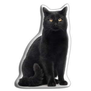 Polštářek s potiskem černé kočky Adorable Cushions