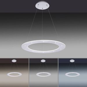 PURE Paul Neuhaus Pure-Cosmo LED závěsné světlo Ø 55cm