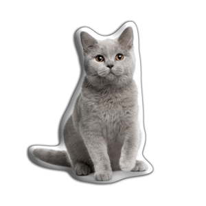 Polštářek s potiskem Britské krátkosrsté kočky Adorable Cushions