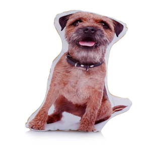 Polštářek s potiskem Border teriéra Adorable Cushions Midi Border Terrier