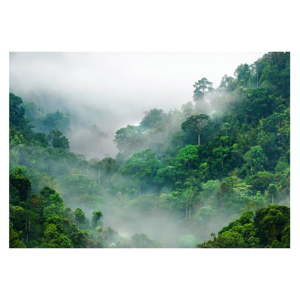 Velkoformátová tapeta Artgeist Morning Fog, 400 x 280 cm