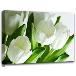 Obraz Styler Canvas White Tulips, 60 x 80 cm