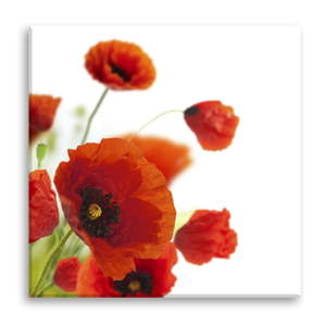 Obraz Styler Glas Maki Poppies, 30 x 30 cm