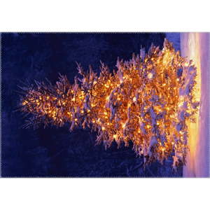 Koberec Vitaus Christmas Period Lit Up Tree Outside, 50 x 80 cm
