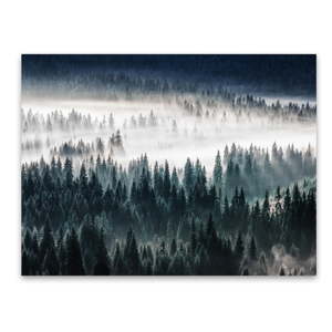 Obraz Styler Glasspik Misty Forest, 80 x 120 cm