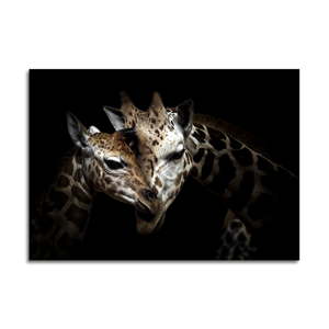 Obraz Styler Glas Animals Giraffe, 70 x 100 cm