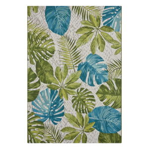 Zeleno-tyrkysový venkovní koberec 240x340 cm Flair – Hanse Home