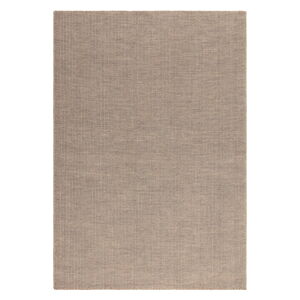 Světle hnědý koberec 120x170 cm Global – Asiatic Carpets