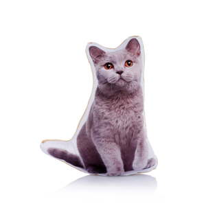 Polštářek s potiskem kočky Adorable Cushions Midi Blue Cat