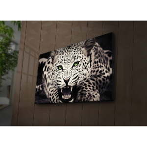 Podsvícený obraz Leo, 70 x 45 cm