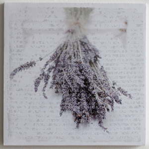 Obraz na plátně Lavende, 28x28 cm
