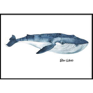 Nástěnný obraz BLUE/WHALE, 40 x 50 cm