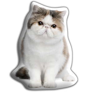 Polštářek s potiskem Exotické krátkosrsté kočky Adorable Cushions