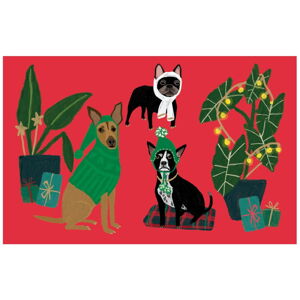 Vánoční přání v sadě 5 ks Cat and Dog Palais  – Roger la Borde